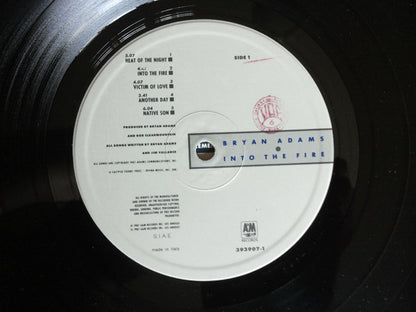 Bryan Adams - Into The Fire