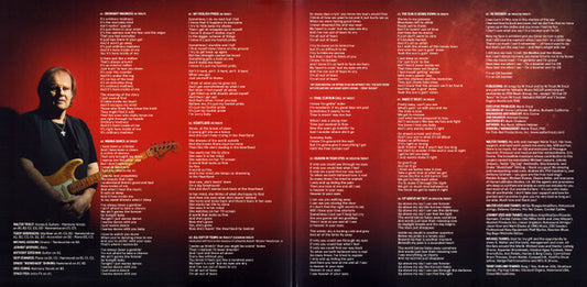 Walter Trout - Ordinary Madness (nuovo)