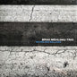 Brad Mehldau Trio - Blues and Ballads