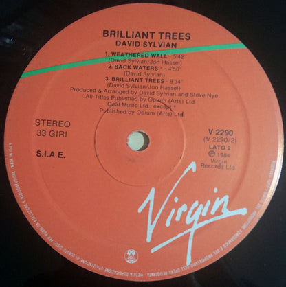 David Sylvian - Brilliant Trees