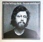 Bruce Cockburn - In The Falling Dark