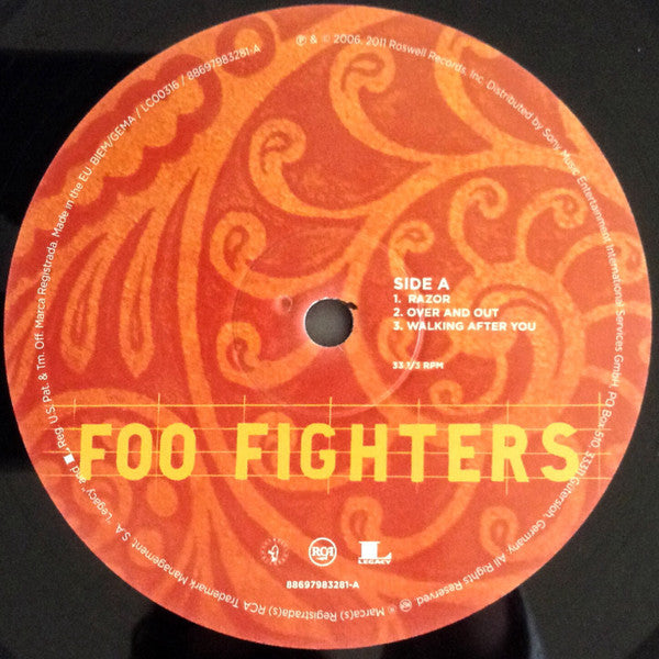 Foo Fighters - Skin And Bones (nuovo)