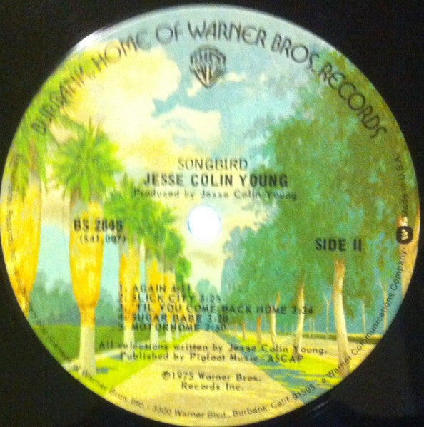 Jesse Colin Young - Songbird