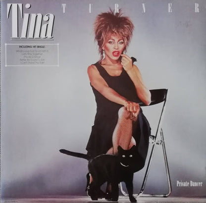 Tina Turner - Private Dancer