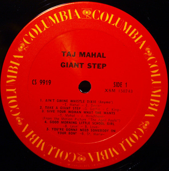 Taj Mahal - Giant Step / De Ole Folks At Home