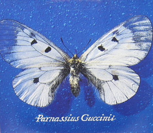 Francesco Guccini - Parnassius Guccinii (nuovo)