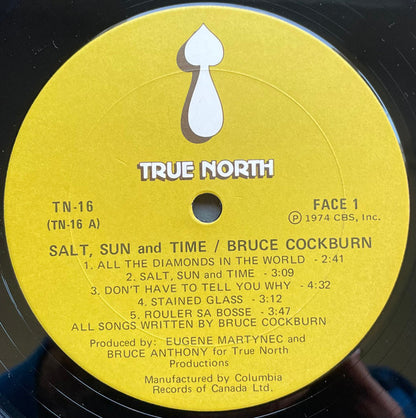 Bruce Cockburn - Salt, Sun And Time