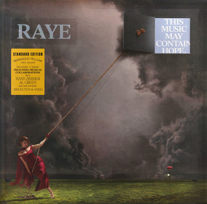 Raye - This Music May Contain Hope. (nuovo)