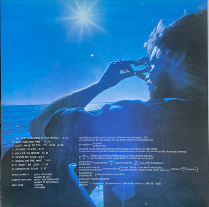 Bruce Cockburn - Salt, Sun And Time
