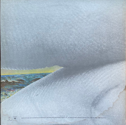 Bruce Cockburn - Salt, Sun And Time