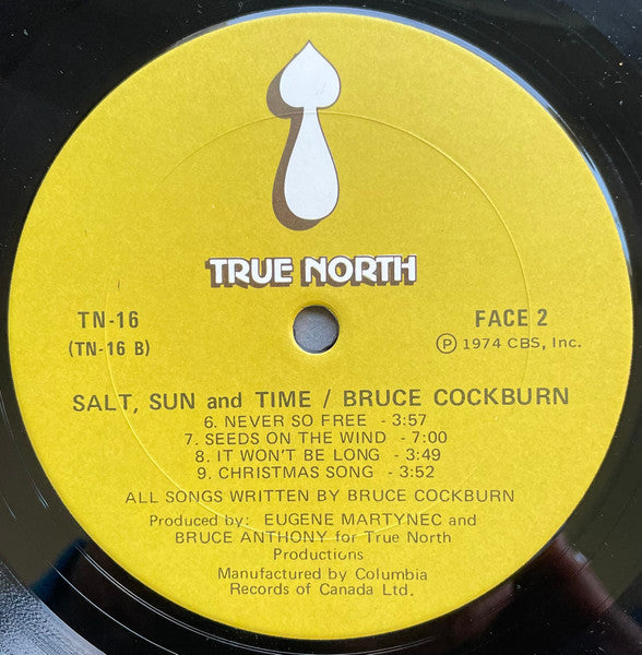 Bruce Cockburn - Salt, Sun And Time