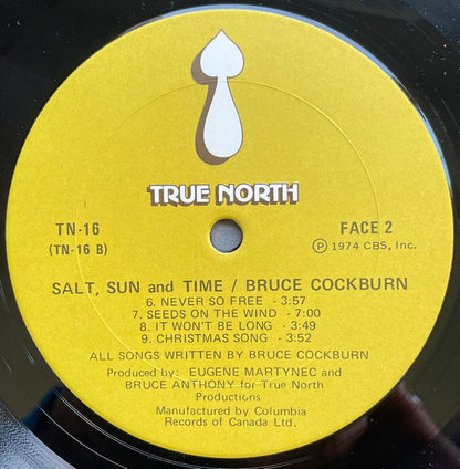 Bruce Cockburn - Salt, Sun And Time
