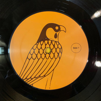 Tim Presley - I Have To Feed Larry's Hawk