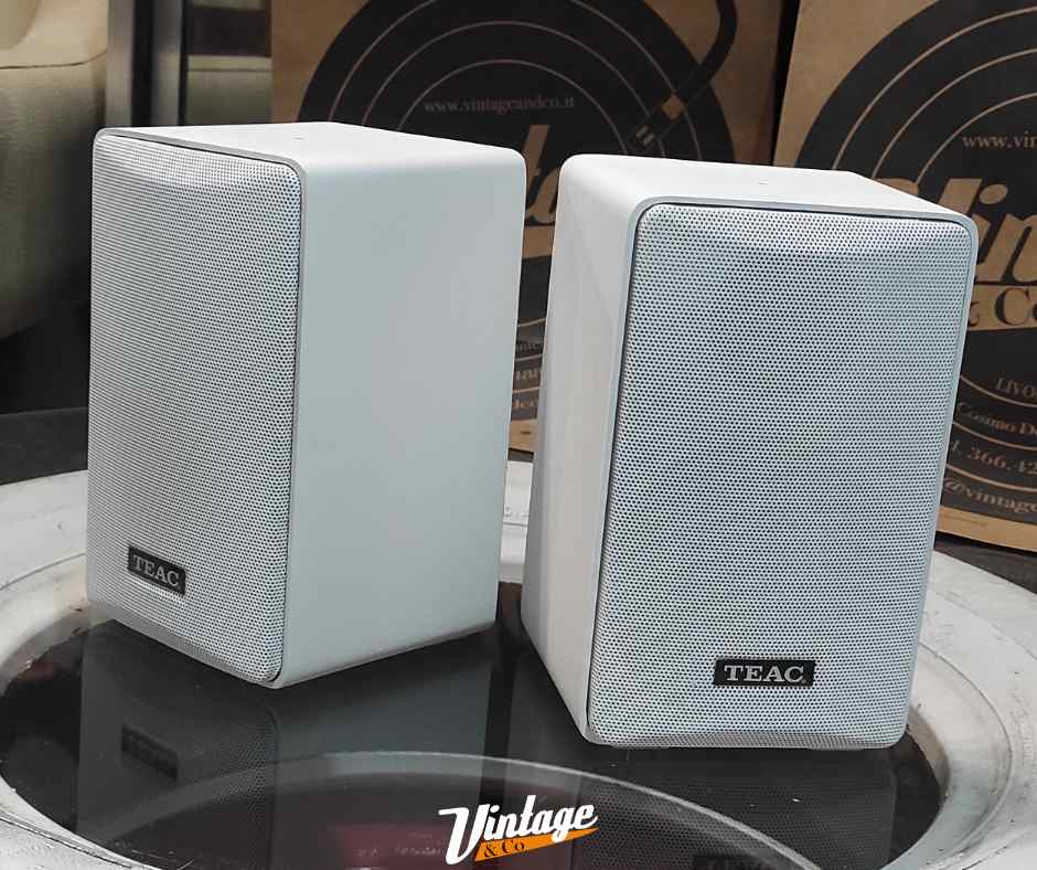 Coppia diffusori Teac LS X5