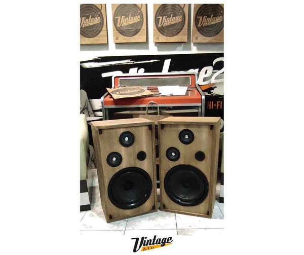 Coppia diffusori Altec Lansing model Five