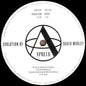 David Morley - Evolution