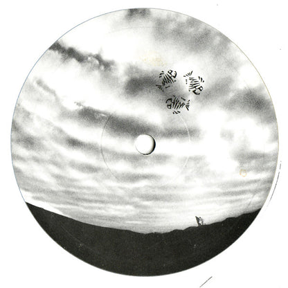 Projective Vision - Apocalypse