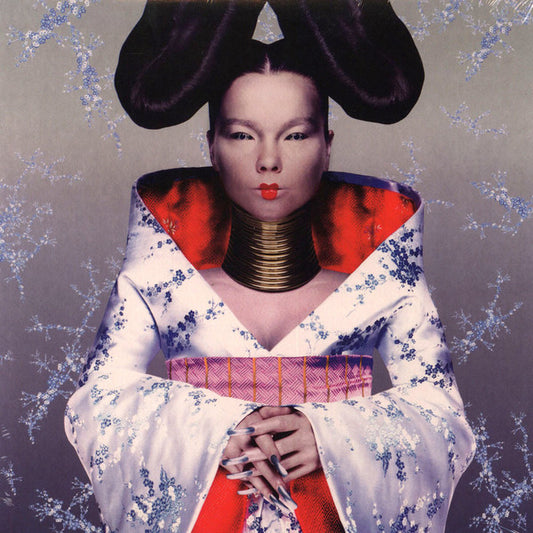 Björk – Homogenic